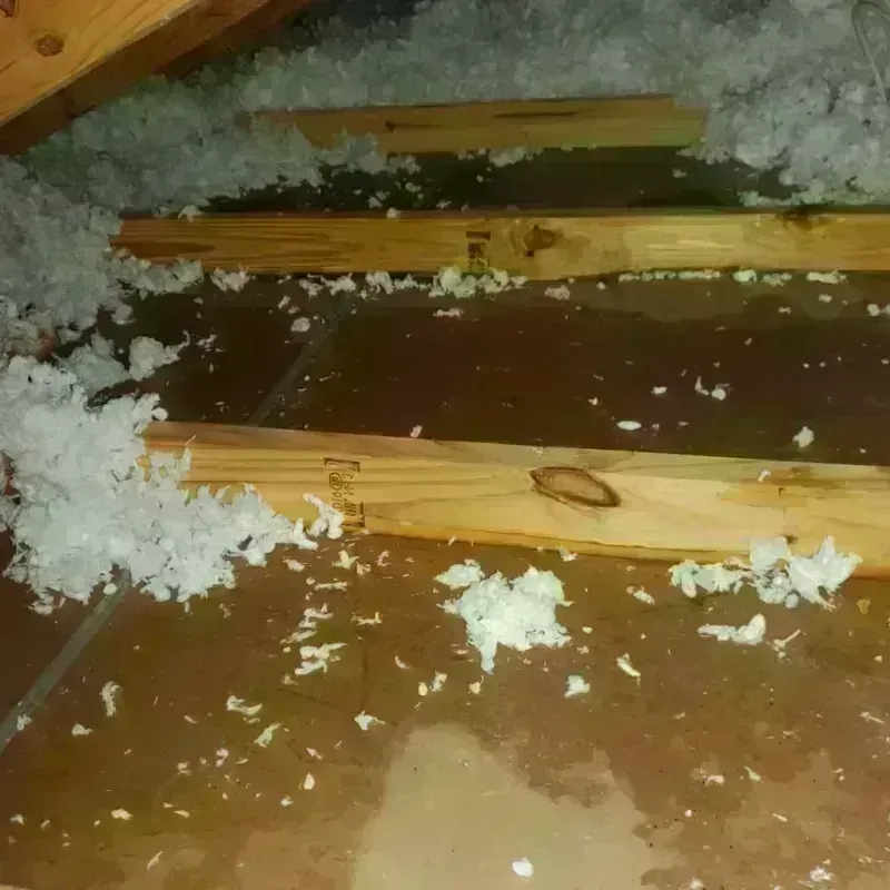 Attic Water Damage in Bangor, PA